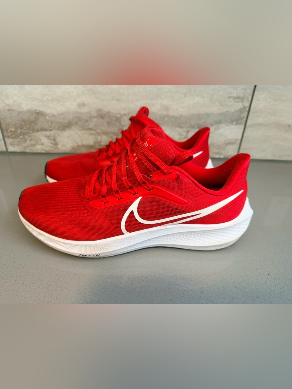 Nike Air Zoom Pegasus